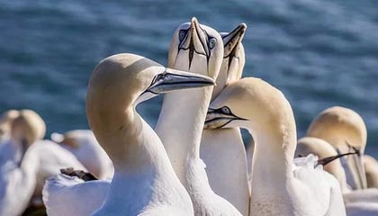 祁阳伴游，定制QQ：3494206190微信：act1322