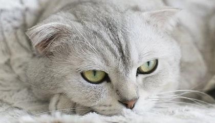 祁阳伴游，定制QQ：3494206190微信：act1322